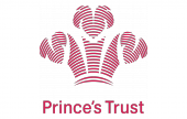 The_Princes_Trust